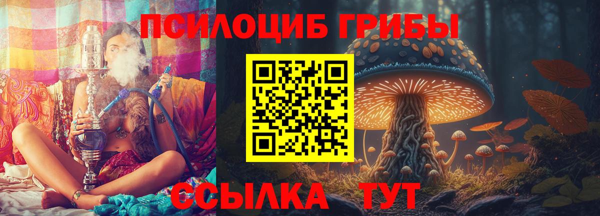 Егорьевск  Псилоцибиновые грибы GOLDEN TEACHER  Вход с VPN  Псилоцибиновые грибы Magic Shrooms 