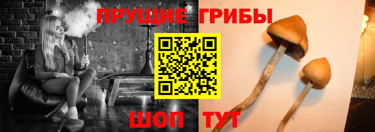 Псилоцибиновые грибы прущие грибы Егорьевск